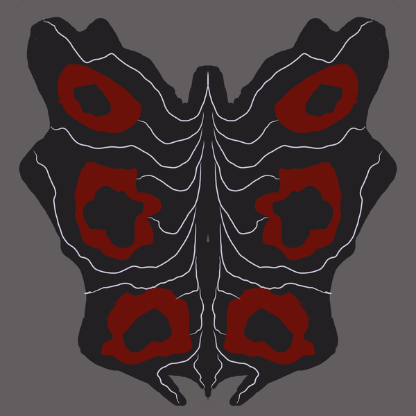 Moths, Inkblots, and the Way My Mind Sees the World